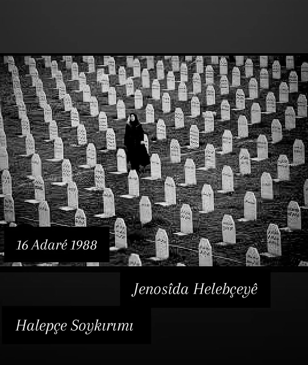dodanmiroficial's tweet photo. #HalepceKatliamı https://t.co/R6AVRxHVA2