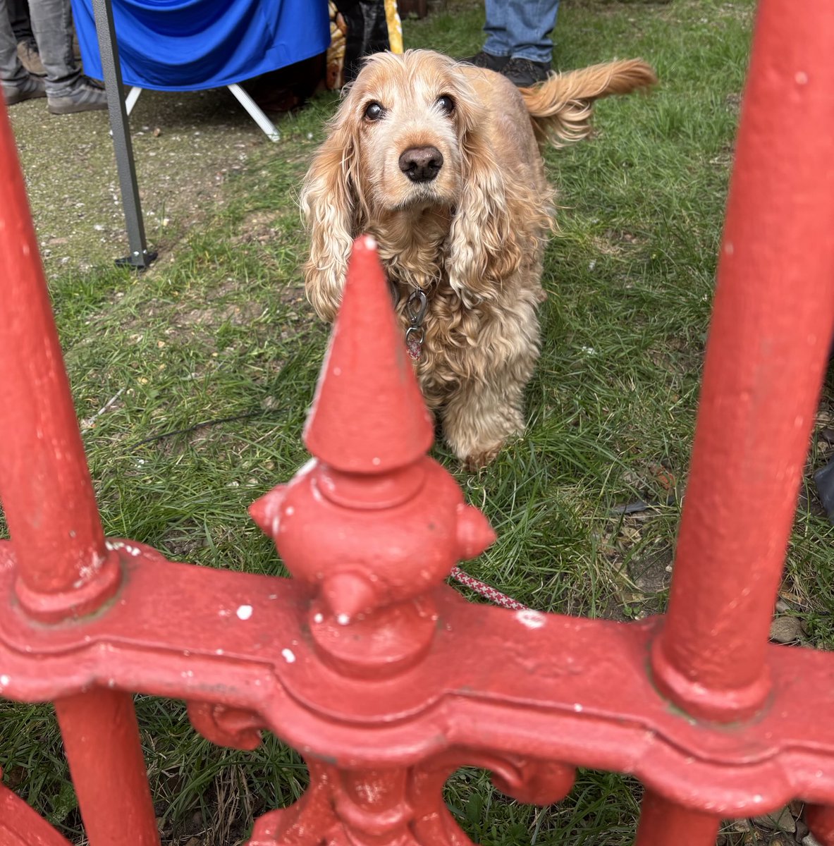 We are just wild about Harry who visited #Jumbo today.