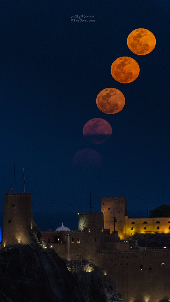 TheDabdoob's tweet photo. شُروق البدر الوردي على قلعة الجلالي 🌕✨
١٥ رمضان ١٤٤٦ هـ

#PinkMoon #FullMoon #MoonRise https://t.co/UyFZa1WuKe