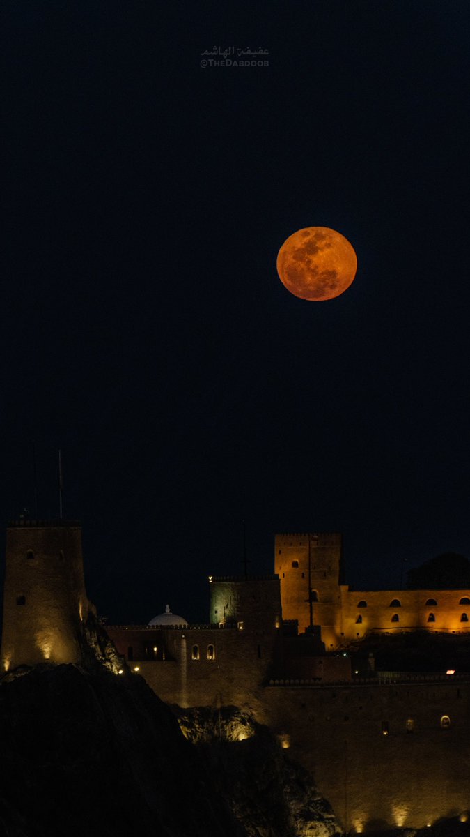 TheDabdoob's tweet photo. شُروق البدر الوردي على قلعة الجلالي 🌕✨
١٥ رمضان ١٤٤٦ هـ

#PinkMoon #FullMoon #MoonRise https://t.co/BSOzreE4b4