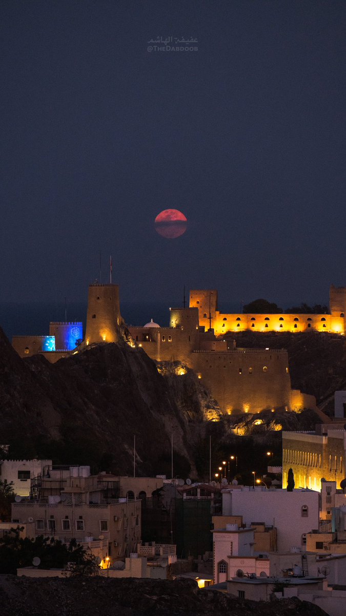 TheDabdoob's tweet photo. شُروق البدر الوردي على قلعة الجلالي 🌕✨
١٥ رمضان ١٤٤٦ هـ

#PinkMoon #FullMoon #MoonRise https://t.co/BSOzreE4b4