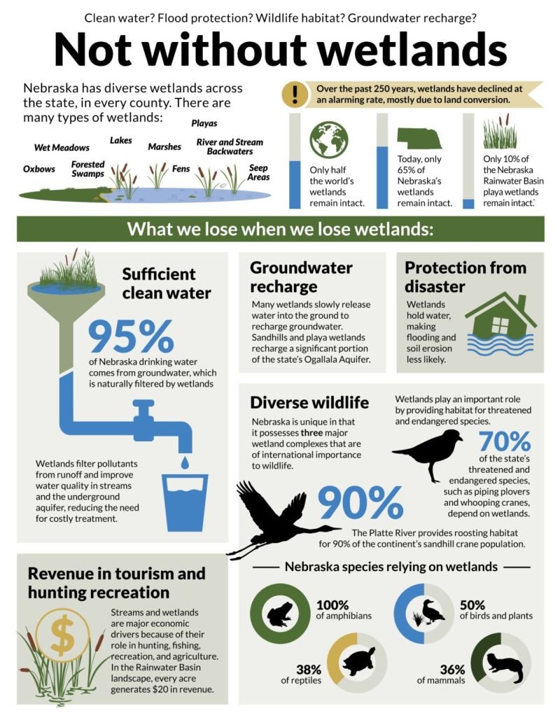 Management actions are essential to ensuring that wetlands continue to deliver vital benefits for both people and wildlife.

Wetland ecosystem services include: 
🌊Reducing flooding
💧Improving water quality
🦆Providing habitats for wildlife

via Rainwater Basin Joint Venture