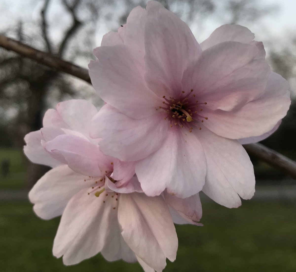 Re Nature London tweet media