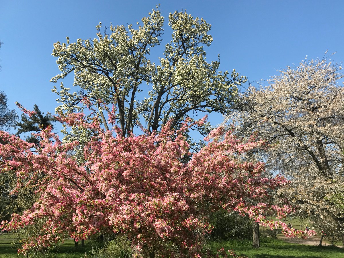 Re Nature London tweet media