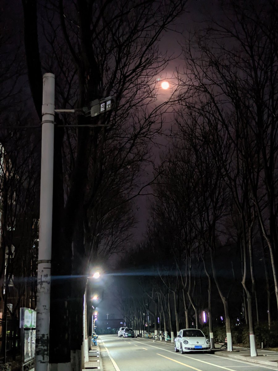 皎皎空中孤月轮