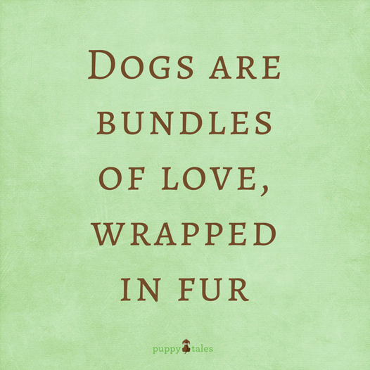 Papa Woof und Krampus und Bleaken (@woofknight) on Twitter photo 