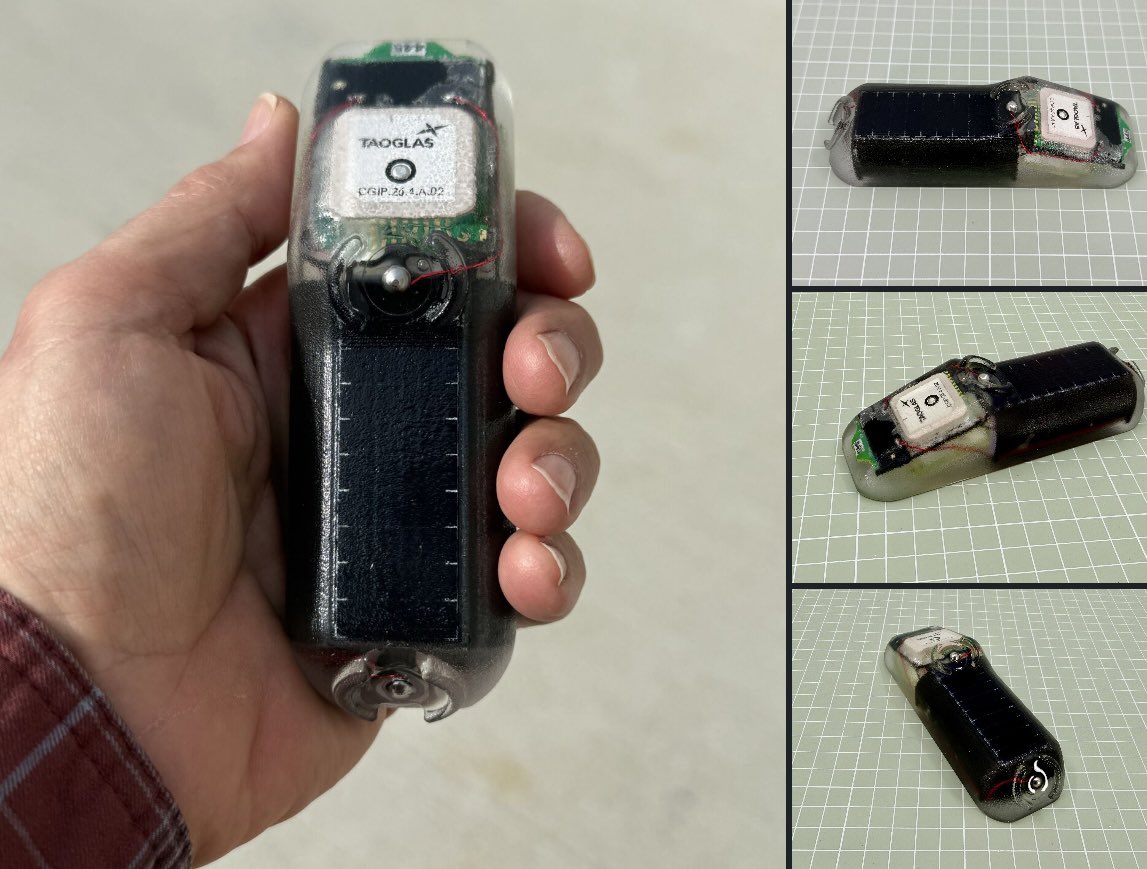 Roy Mitsuoka tweet media