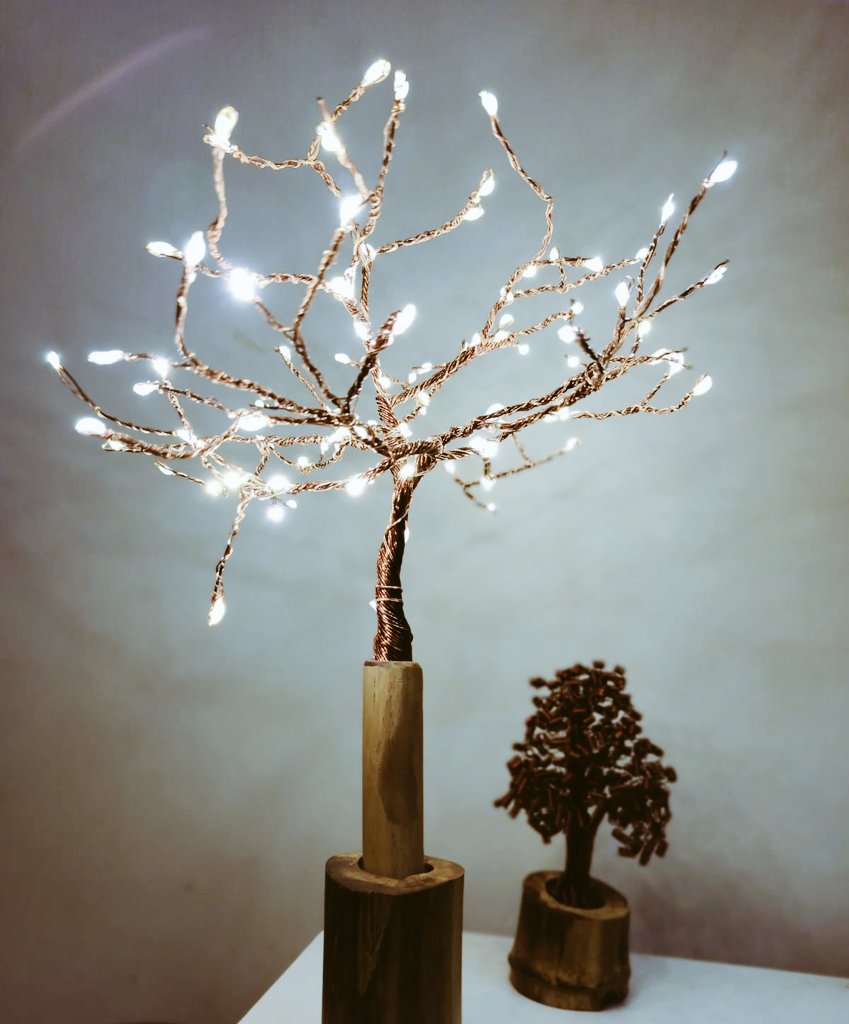 PRspacess's tweet photo. Let's see your Tree Photographs
#PRclickss https://t.co/AzCVVOrhLE