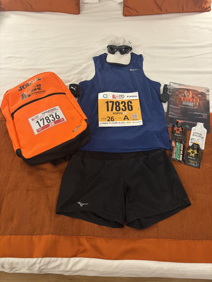 Just Ran Rome the Marathon with sub 3.5🇮🇹
Sooo wonderful experience! Glad to join the festival!

石畳と観光疲労と急遽の参加なら、サブ3.5でも価値あり！

あとバカンス中にフルマラソンを差し込んだ件で変態扱いしてきたラボ後輩たちへ:

＞＞　完　走　し　た　か　ら　な　＜＜