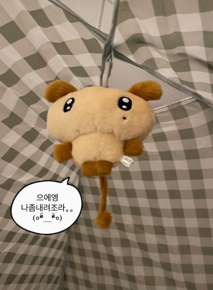 #헤이탄빵즈
대롱대롱 매달려부린 탄빵겸⸝⸝ ᷇࿀ ᷆⸝⸝ 귀엽다…♡