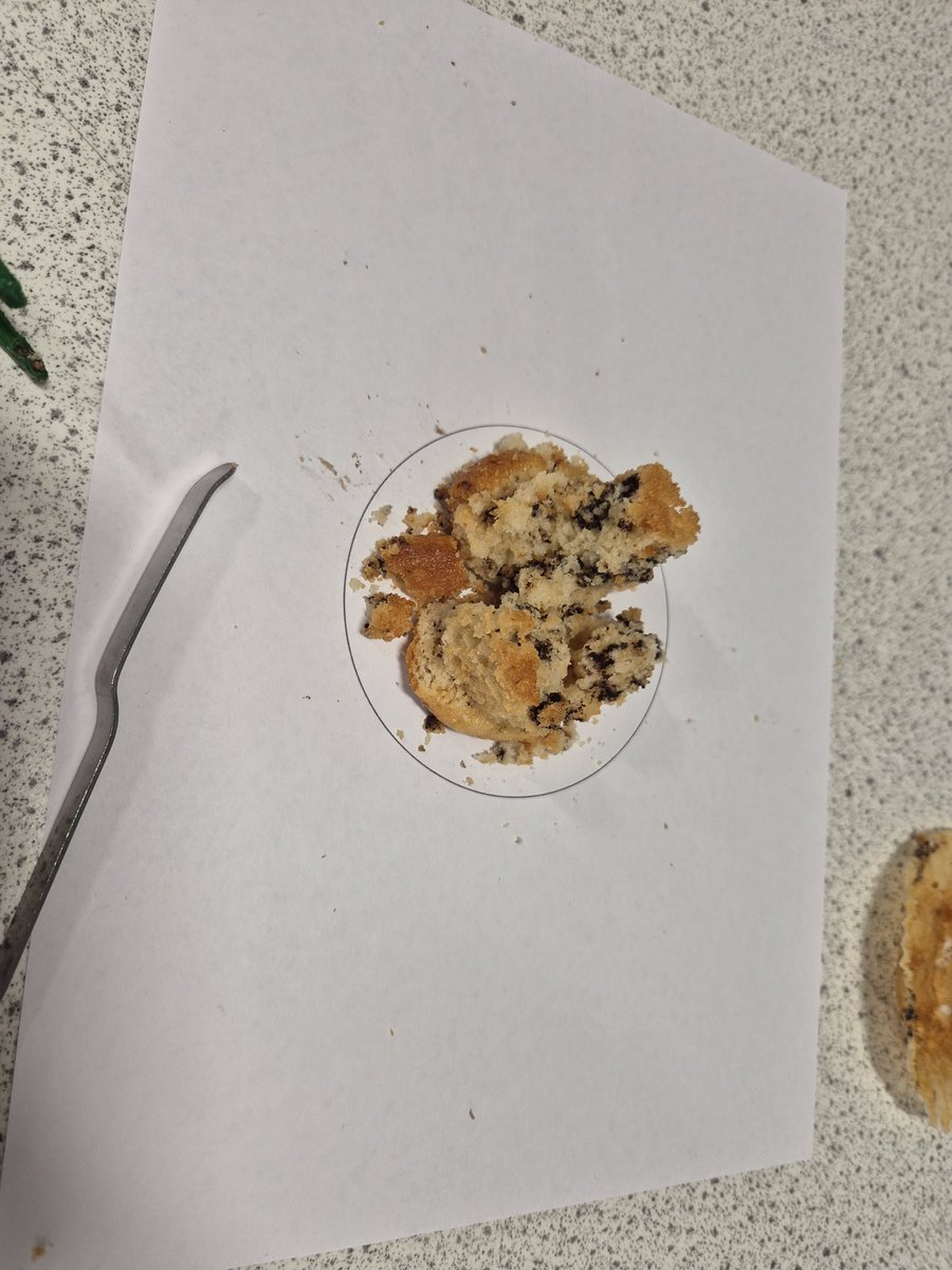 irvineroyalscience tweet media