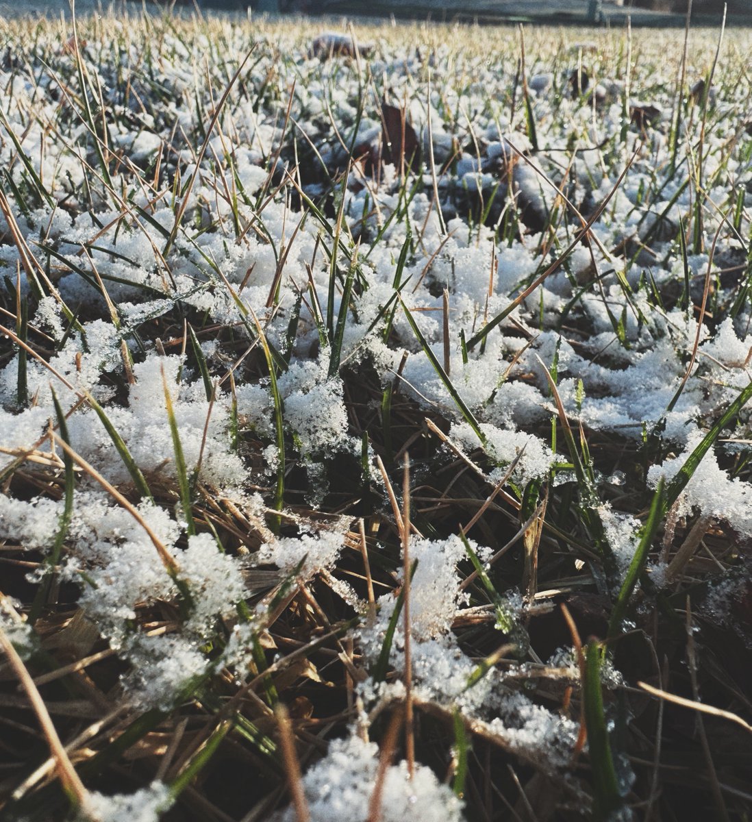 Missouri Bi-Polar weather.  Snow this morning.  70F tomorrow.