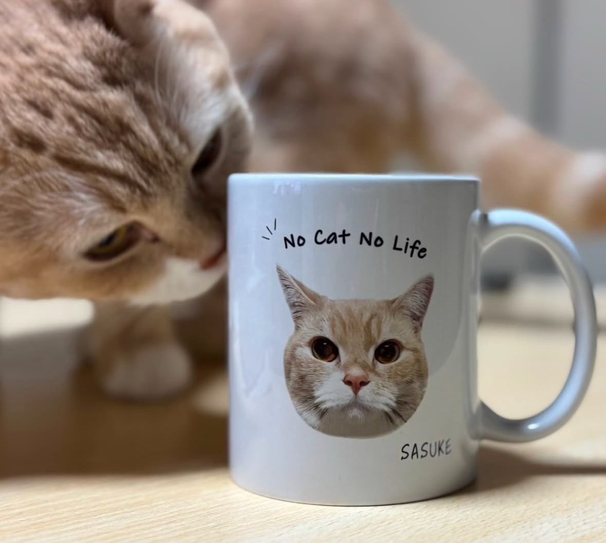 uchinokolabo's tweet photo. 「No Cat No Life🐱」 うちの子ちゃんが自分とそっくりのマグカップをチェック中…👀✨ 
可愛いお顔がプリントされたこのマグカップ、うちの子推しにはたまらないアイテムです！ 朝のコーヒータイムがもっと幸せに☕💕

  #猫すき #うちの子ぐっず #マグカップ　#猫グッズ https://t.co/SsGaqGwHWj