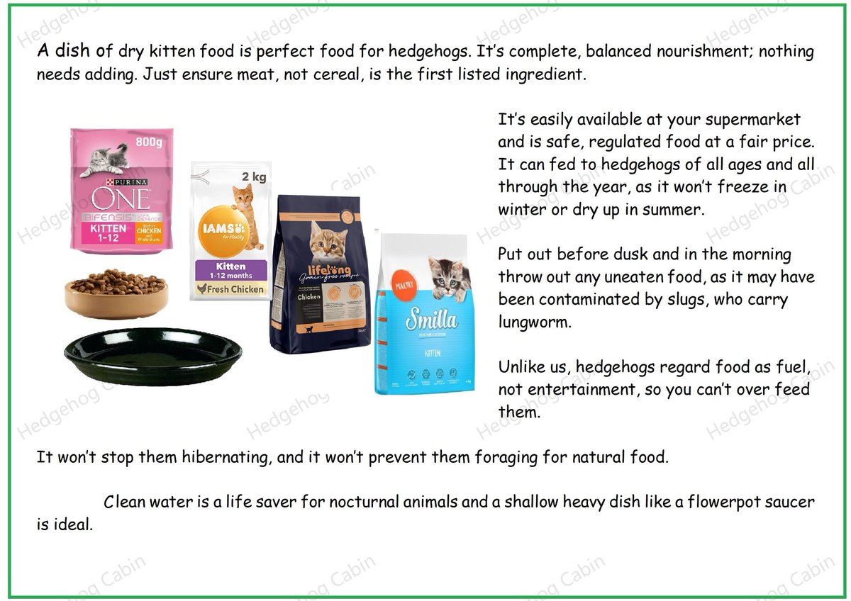 Hedgehog Cabin tweet media