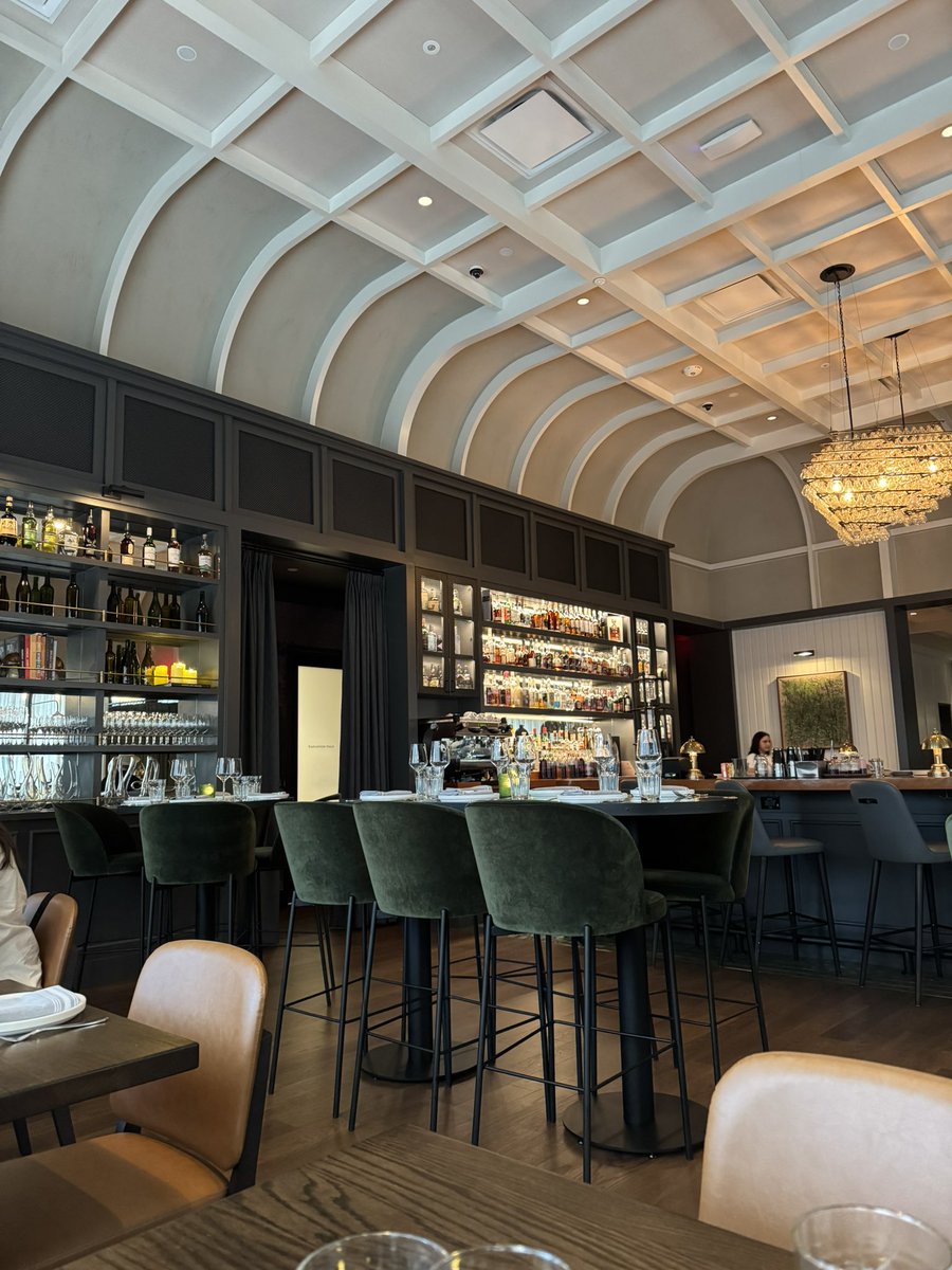 Aurora Stecher tweet media