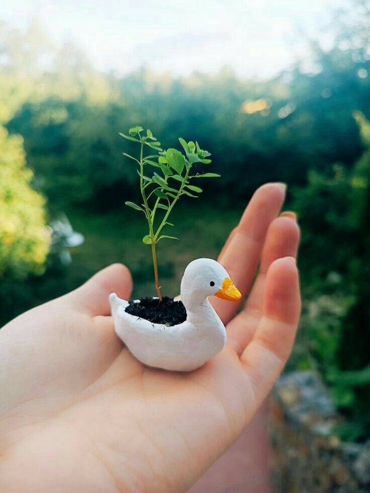 only cute things (@cutedreamvibes) on Twitter photo 