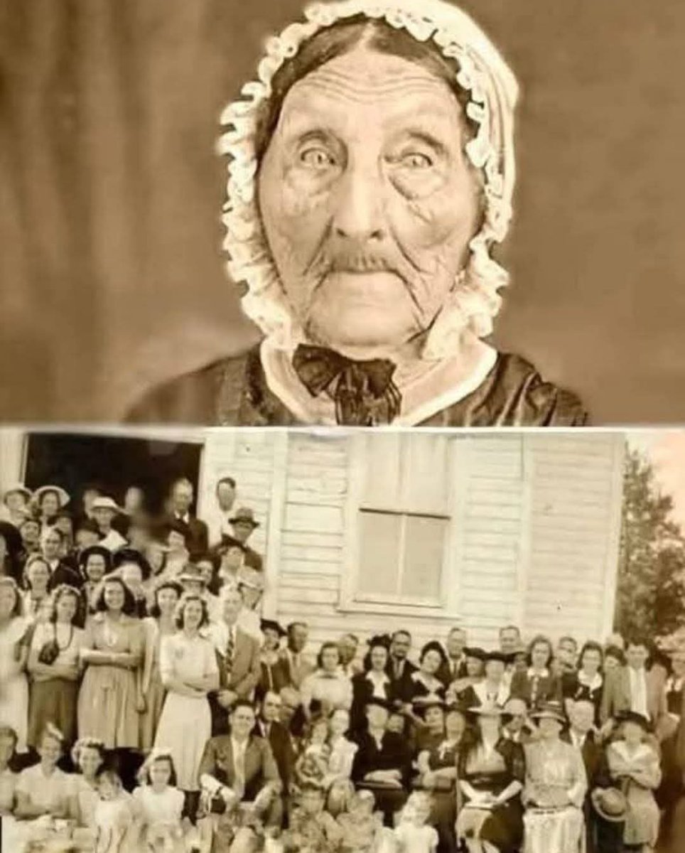 Yaronomiqus tweet media