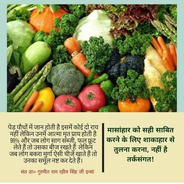 SanjEve8's tweet photo. Today people are getting sick with more chronic diseases because of consuming right diet. Saint Dr Gurmeet Ram Rahim Singh Ji Insan tells that eat more green leafy vegetables than fast food, have meals on time&also share various
#ImmunityBoostingTips to treat common cold&flu. https://t.co/lW5qaZj9W9