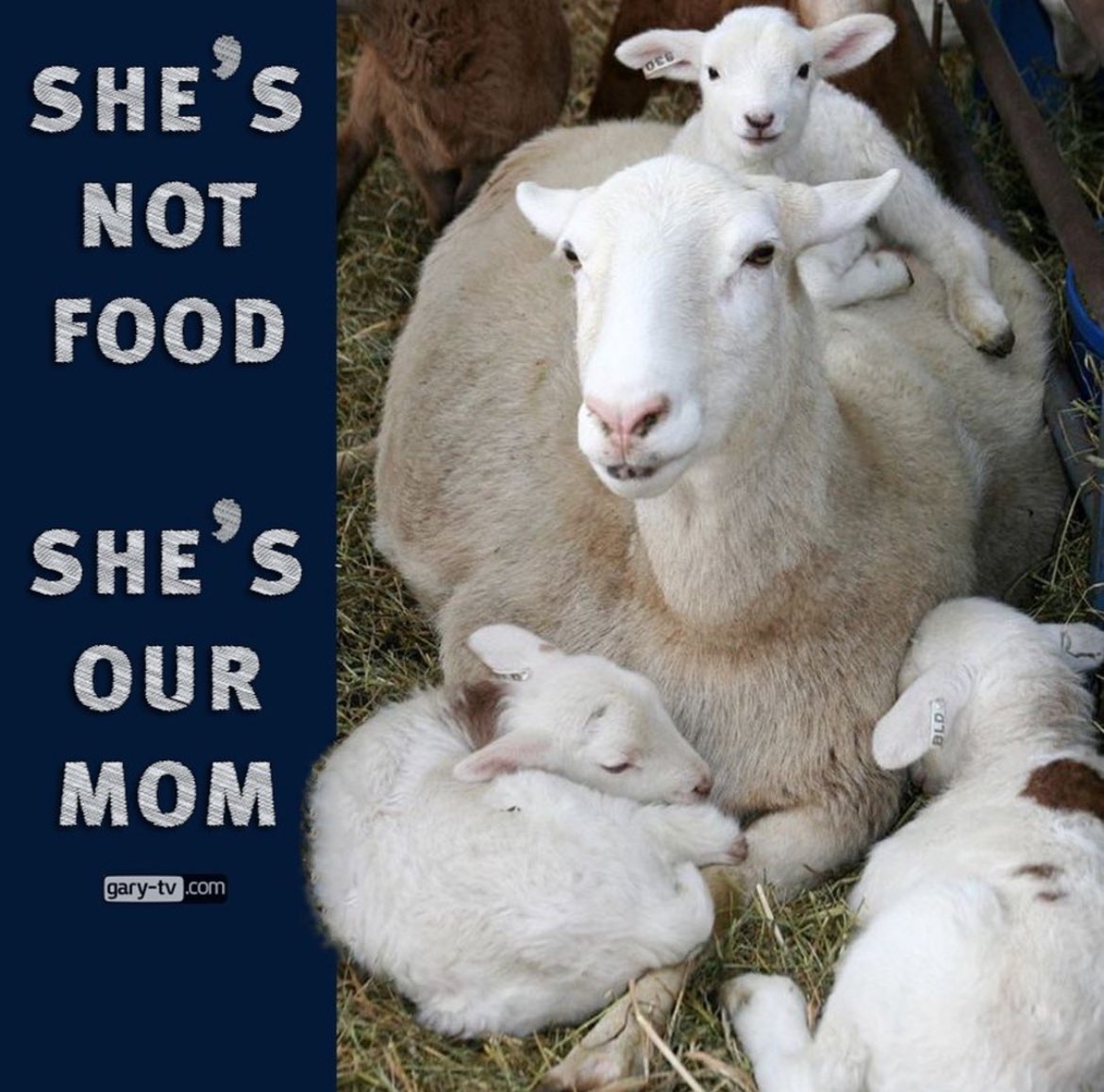 NothingIsArt tweet media