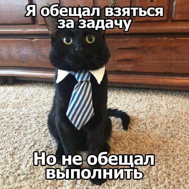 catsilcats's tweet photo. https://t.co/ZeXW9FVtKH
