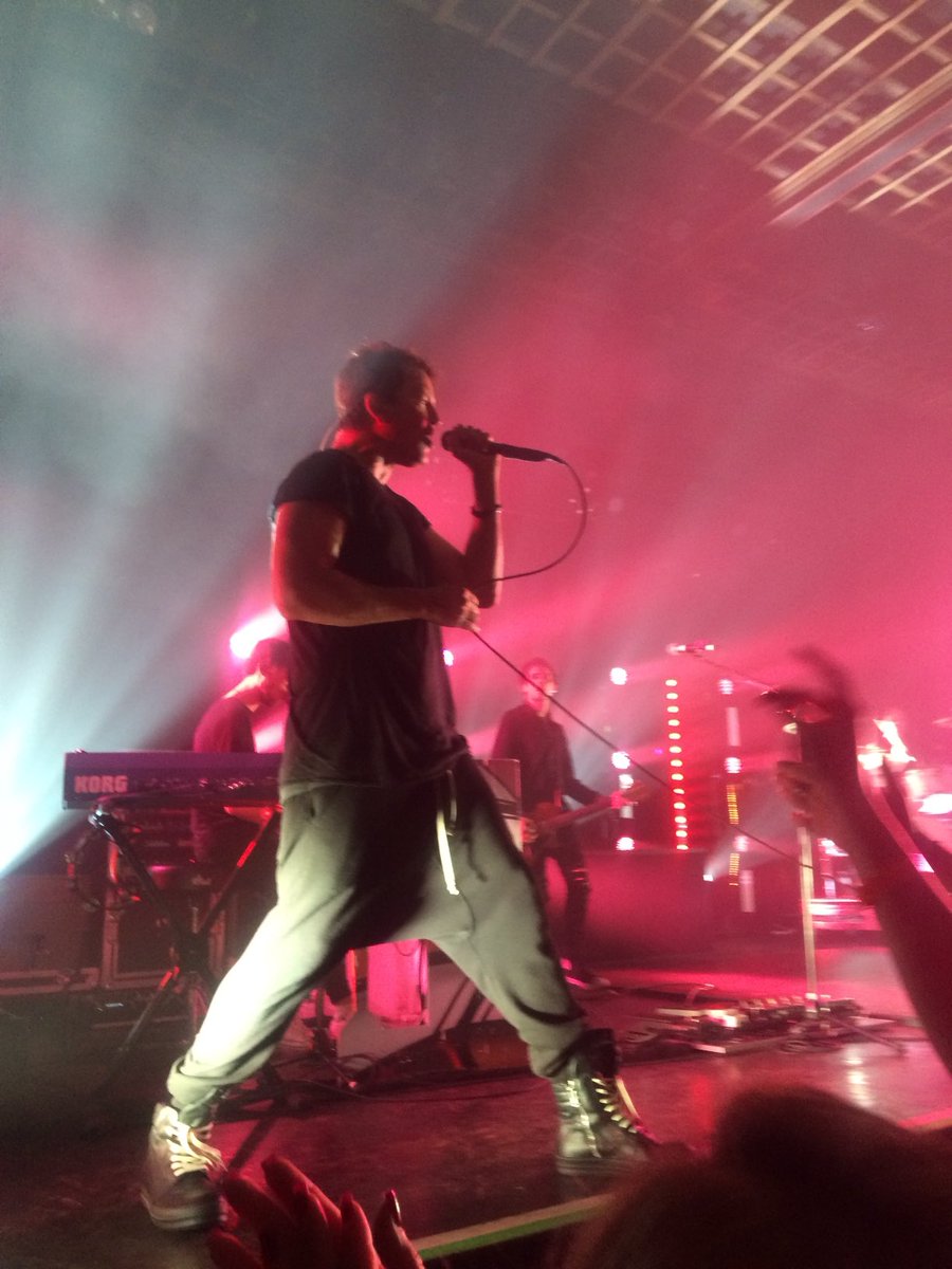 Annelyse 🎨 tweet media