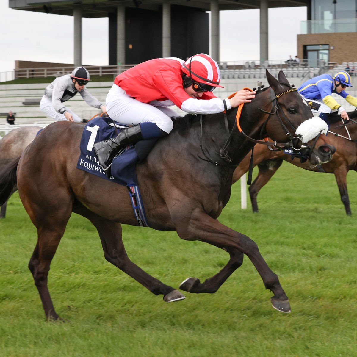 ORANDI wins the Irish Lincolnshire 🎉