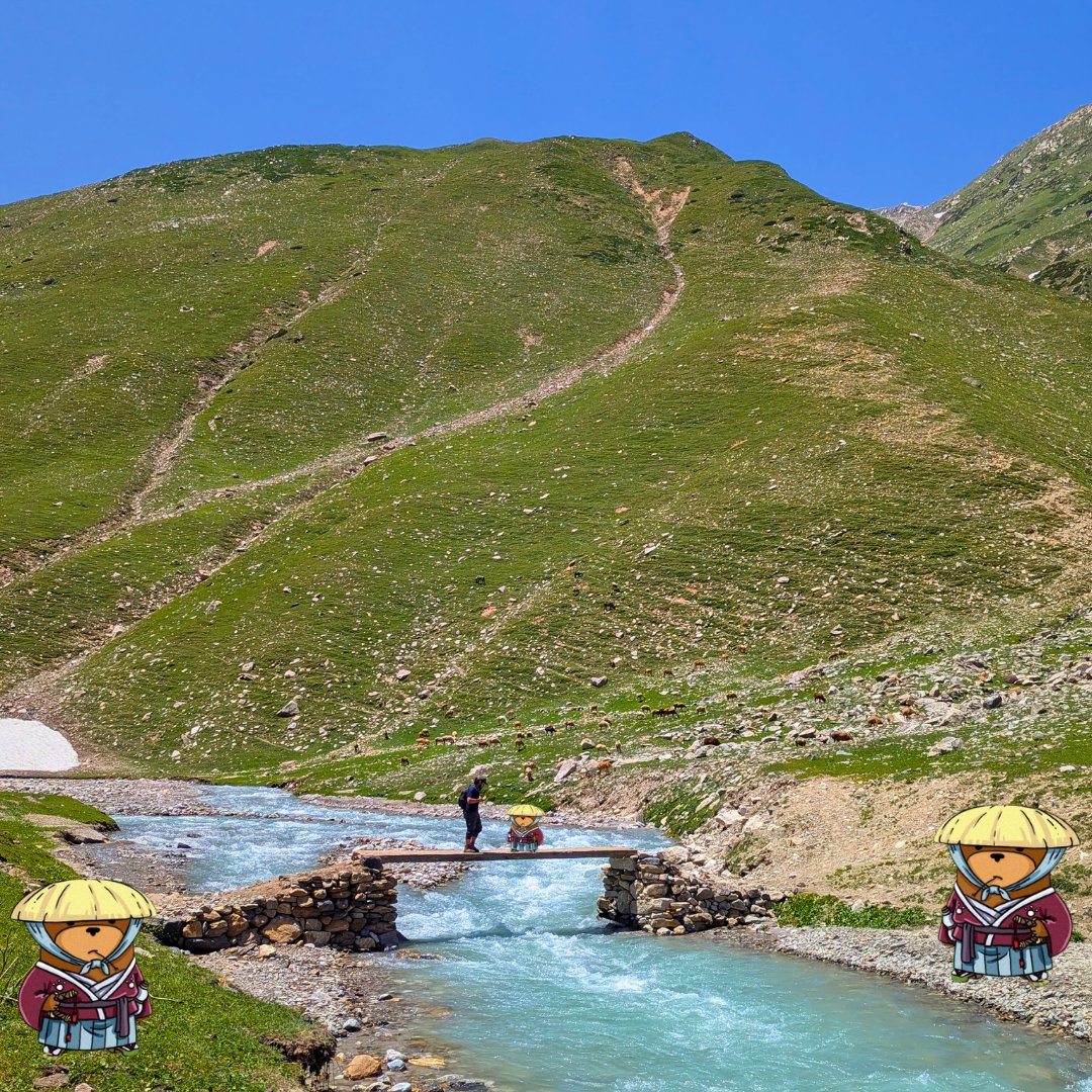 Nothing beats a peaceful Sunday out in nature. 

Fresh air, good vibes, and some $BOI warriors keeping watch.

Happy Sunday, @boithebear fam!