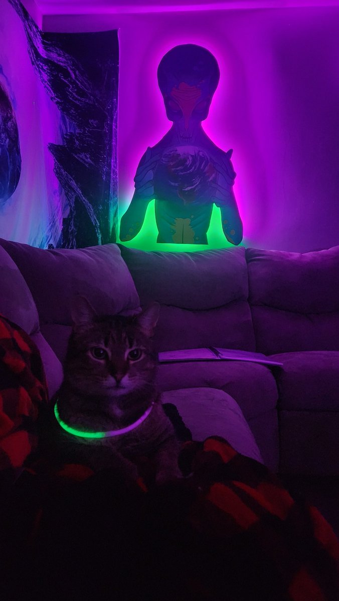SpaceCaseeee's tweet photo. Fits right in ! https://t.co/woQxrssVLe