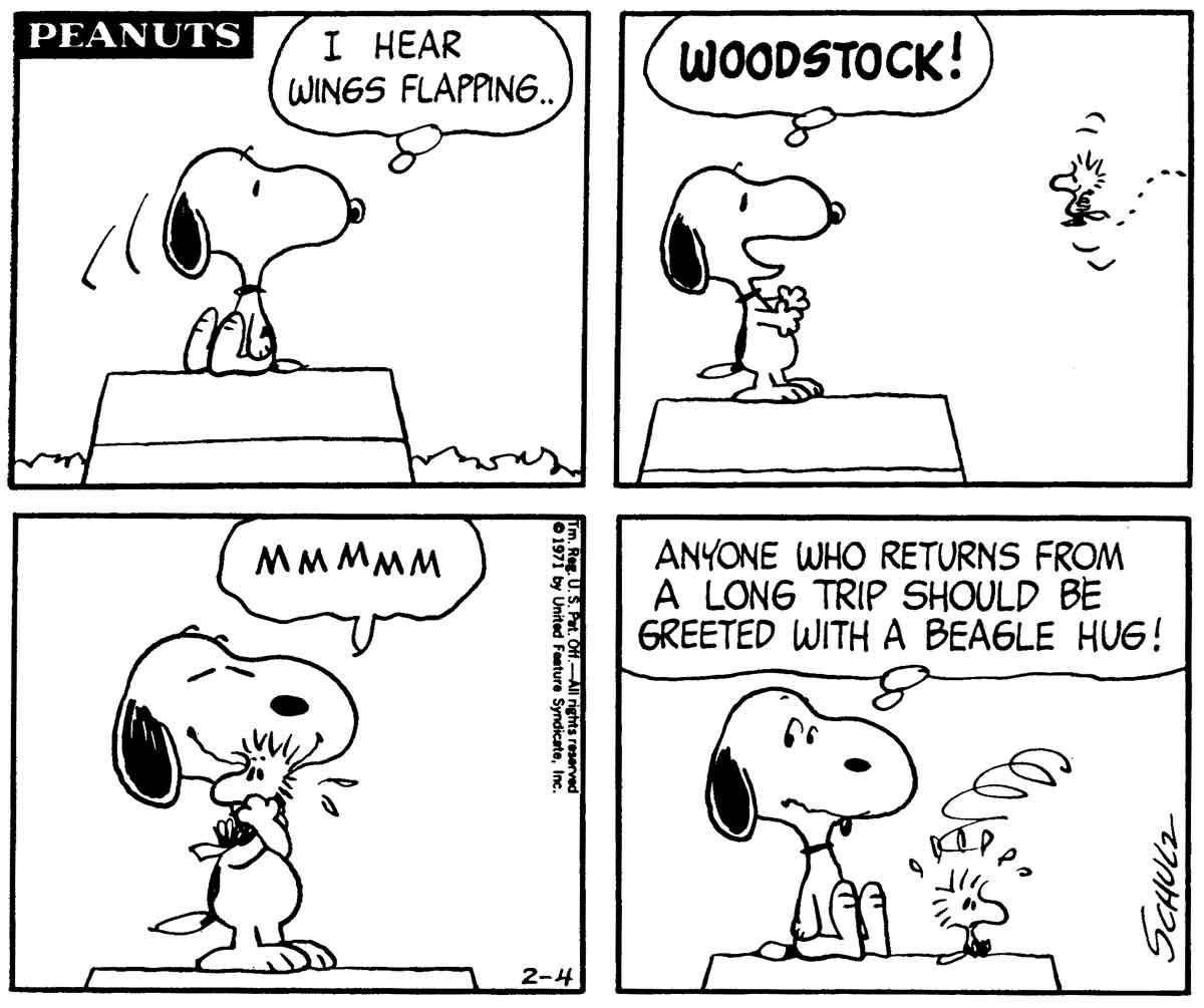 DailySnoopys's tweet image. 