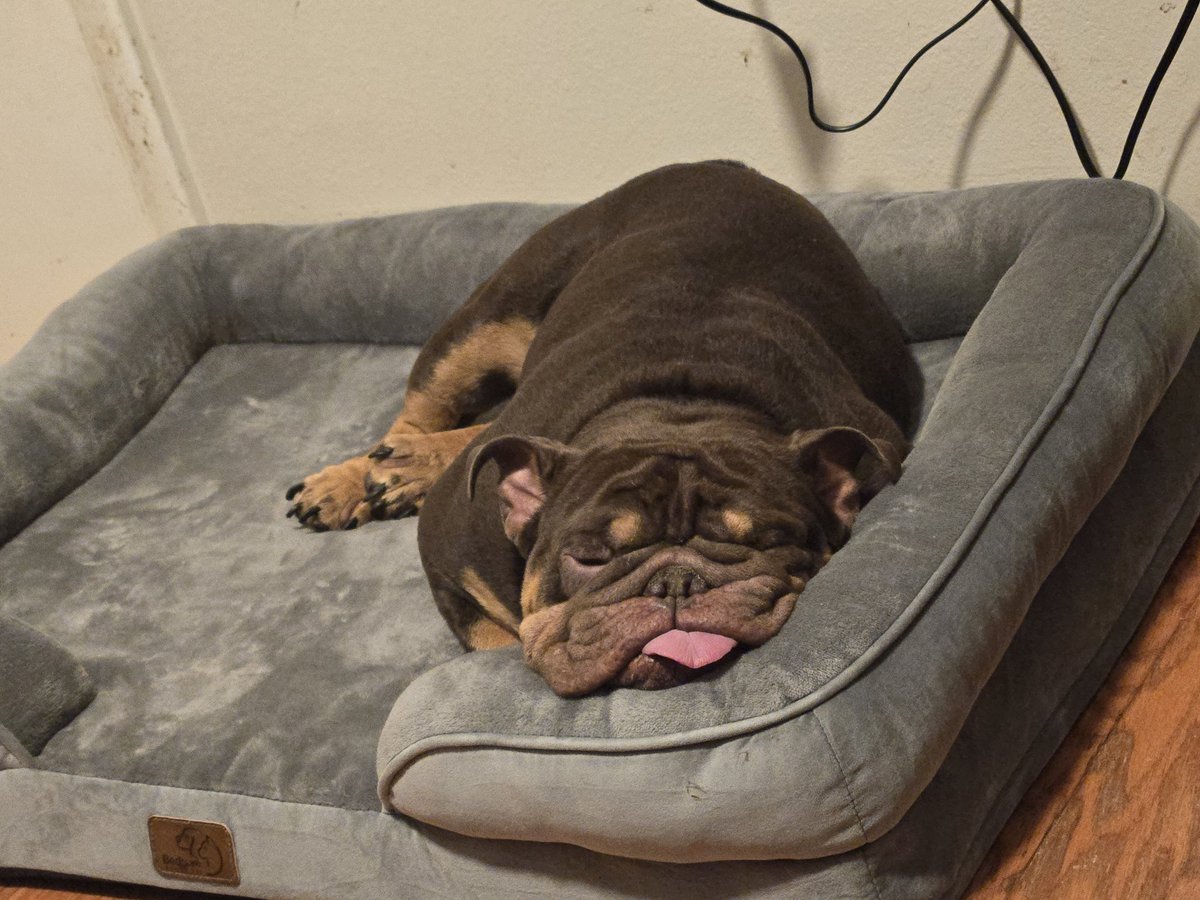 BERRYBIRD.SOL🥝 tweet media