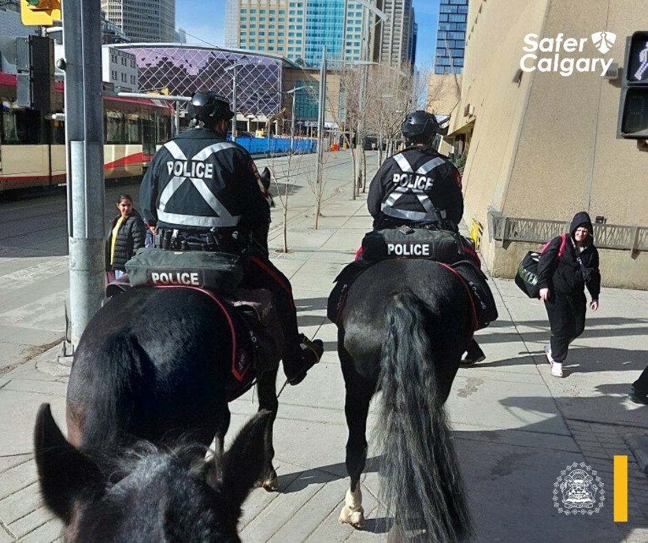 Calgary Police (@calgarypolice) on Twitter photo The <a href="/CPSMountedUnit/">Calgary Police Service - Mounted Unit</a> are also deploying as part of Safer Calgary, patrolling along transit & in parks. In the past week they engaged with more than 200 people, as well as saved the life of a person who was overdosing. 🐴🙌 The <a href="/CPSMountedUnit/">Calgary Police Service - Mounted Unit</a> are also deploying as part of Safer Calgary, patrolling along transit & in parks. In the past week they engaged with more than 200 people, as well as saved the life of a person who was overdosing. 🐴🙌