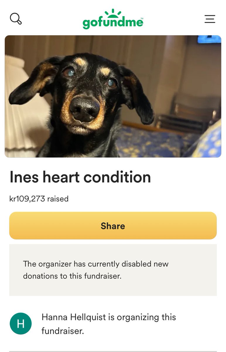 Mika Mattila tweet media