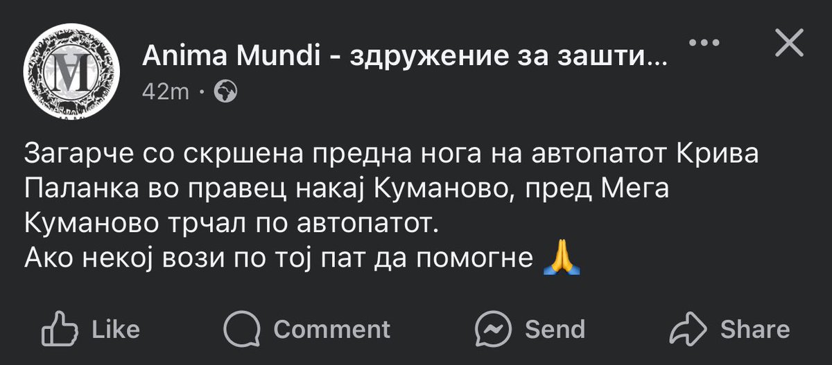 Денешните приоритети на анима дунди…ни збор за изгорените деца