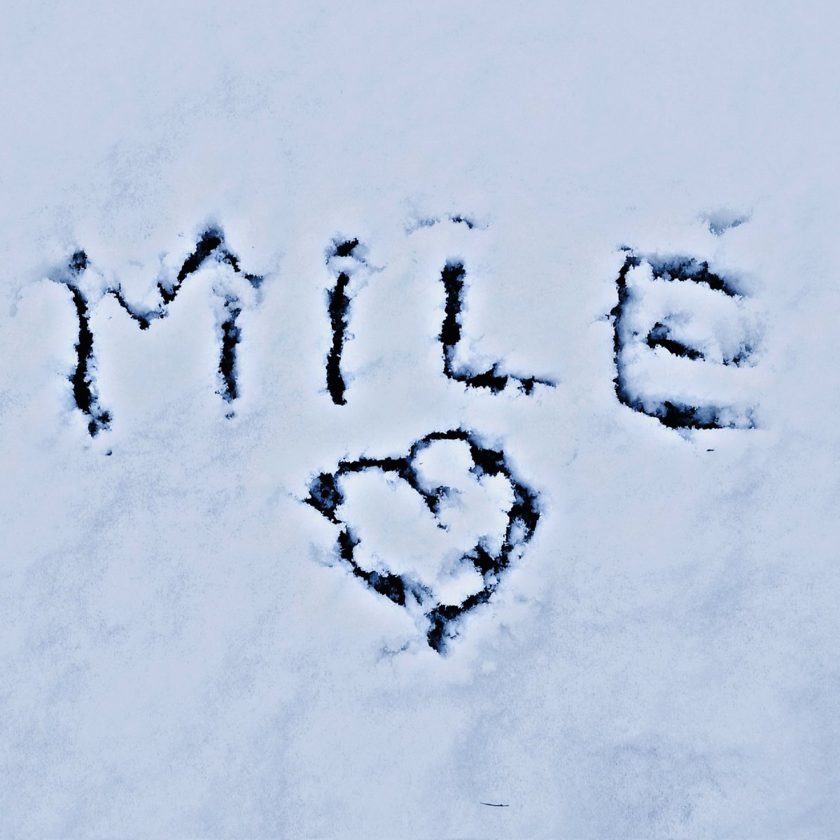 FrenchGreenie is back🤗

Despite myself, I was absent for about 1 month,it wasn't planned but it's a difficult start to the year for me.🥹(I still continued to comments for Mile onIG😊)

Today I wrote Mile's name in the snow🥰Je t'aime <a href="/milephakphum/">mile phakphum</a> 💚

#MilePhakphum
#GreenyRose