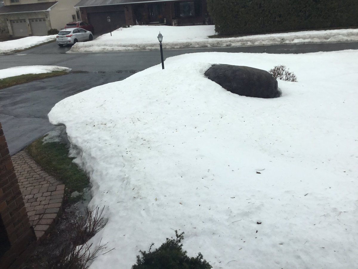 Seed101's tweet photo. @TerryDaynard @KarenDaynard The grass on our front yard does not need to be cut yet. https://t.co/1ZaDtJfPAp