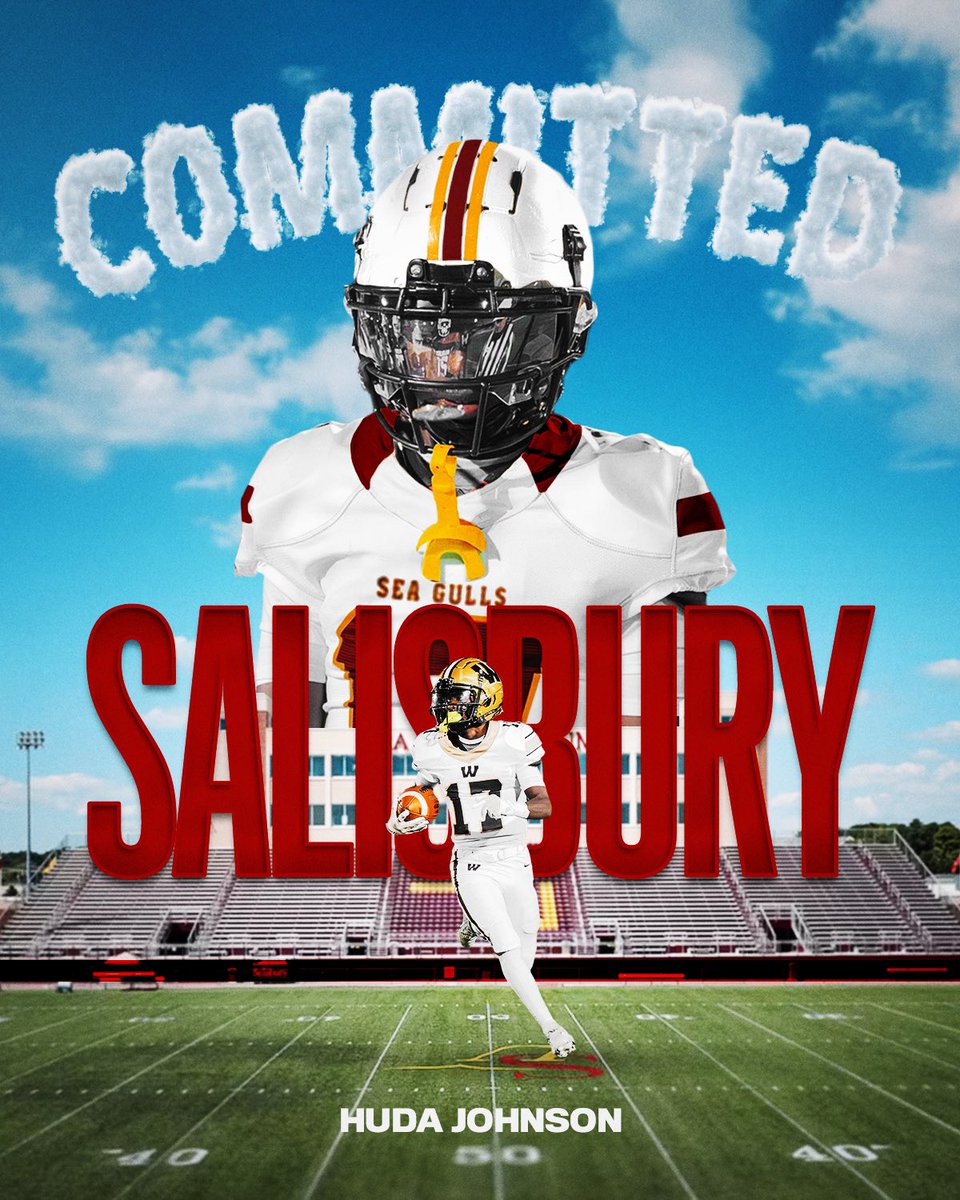 Committed, Go Seagulls❗️