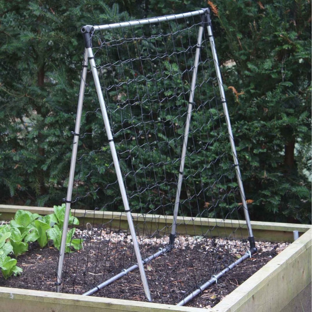 HarrodHort's tweet photo. Give your peas the perfect place to climb with our Slot &amp; Lock Pea Support Frames. They provide reliable support while blending beautifully into your garden. 

Explore the range and set your garden up for success. https://t.co/yt64gZsC0Z