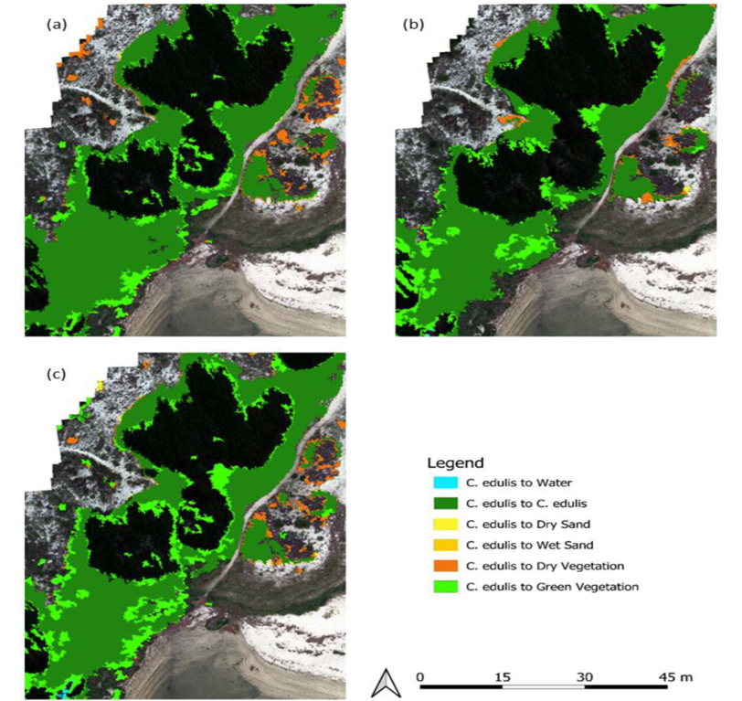 RemoteSens_MDPI's tweet image. 🌿🌿 Using Remote Sensing Multispectral Imagery for #Invasive #Species Quantification: The Effect of #Image Resolution on Area and #Biomass Estimation

✍️ Manuel de Figueiredo Meyer et al.
🔗 brnw.ch/21wRmzJ