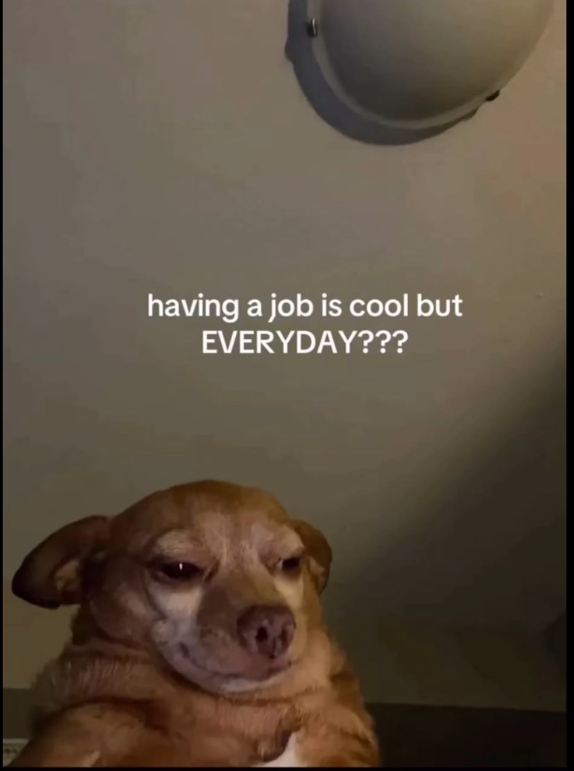 spinningdotss's tweet photo. @mustervaper i just noticed youre probably cooked on ron with that transition 😭 maybe do better? 
may i interest you in some $ched ? https://t.co/L1gadUg8O9