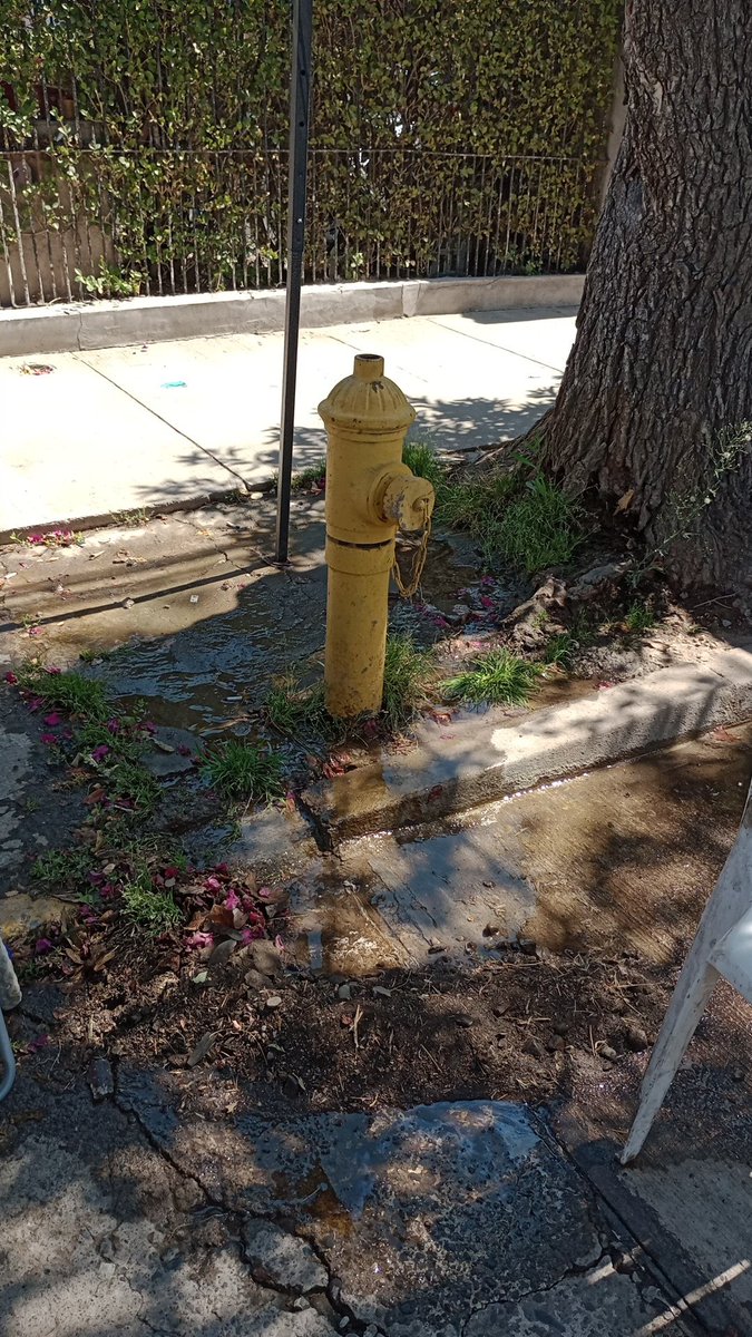 Yanecisisis's tweet photo. @aguas_andinas grifo mal cerrado con perdida de agua, dirección: Ines Rivas con Alcalde Barrera https://t.co/SEY25OUOfZ