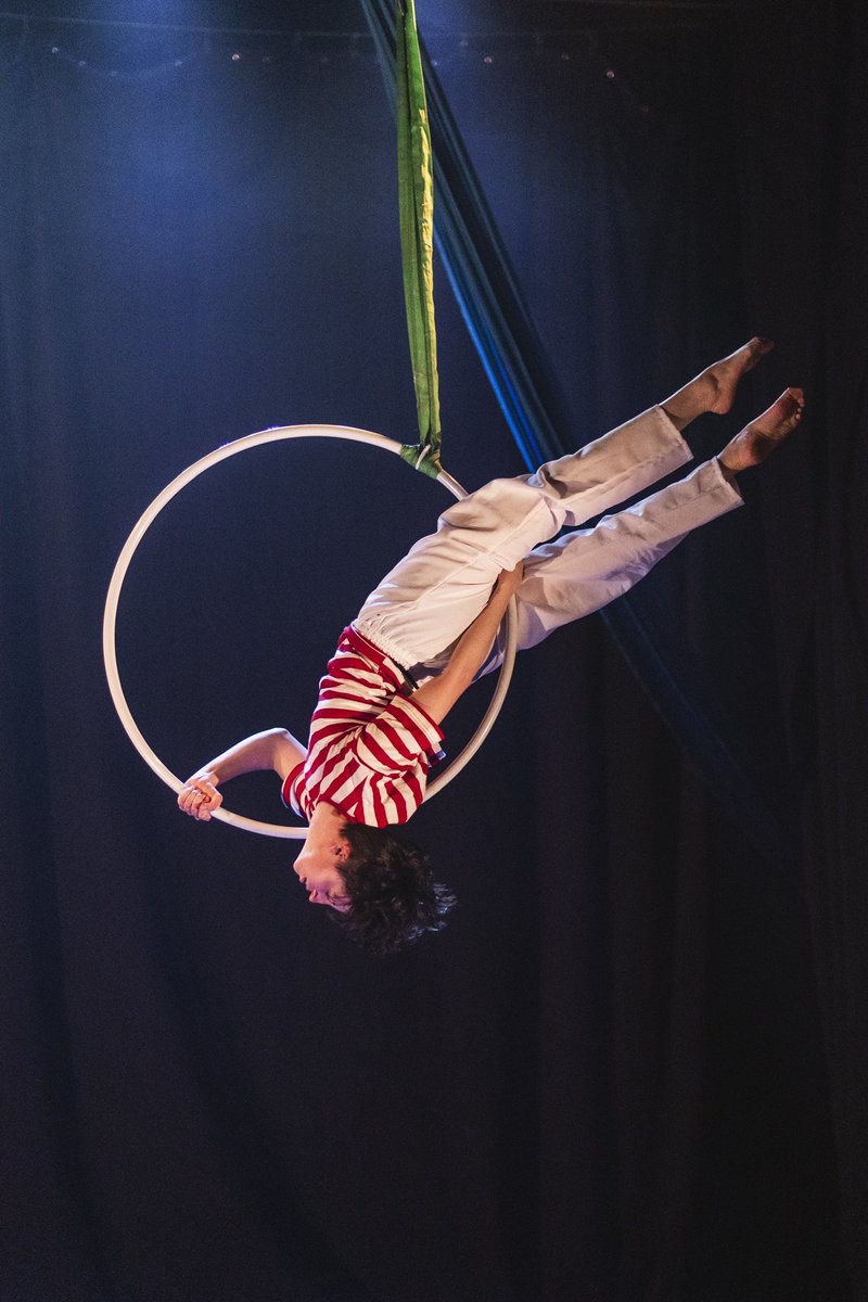 lagosta boxeadora tweet media