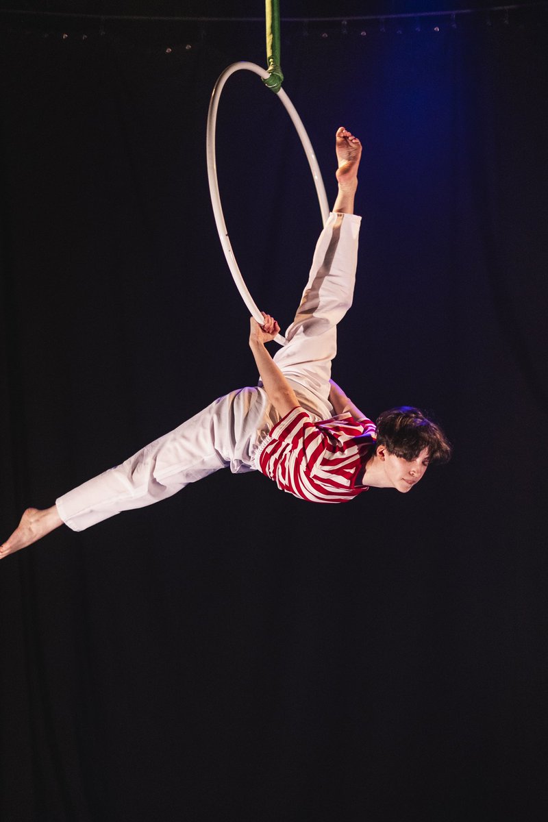 lagosta boxeadora tweet media