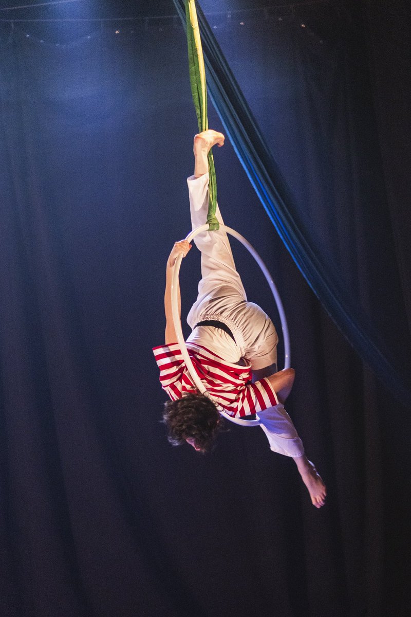 lagosta boxeadora tweet media