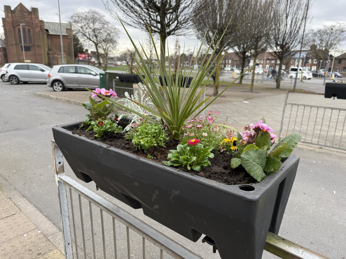 harrydoyle96's tweet photo. Hello spring 👋 🌺
#MakeDovecotCleanAgain
@LiverpoolLabour @WestDerbyCLP https://t.co/BZBnAKsO1P