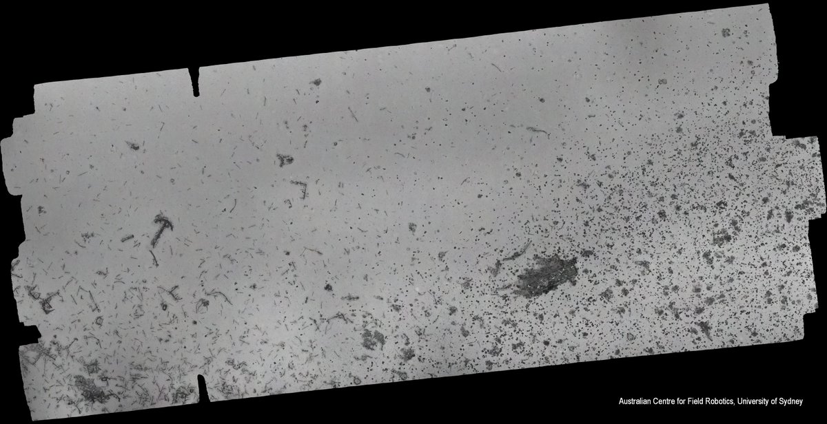 40North180 tweet media