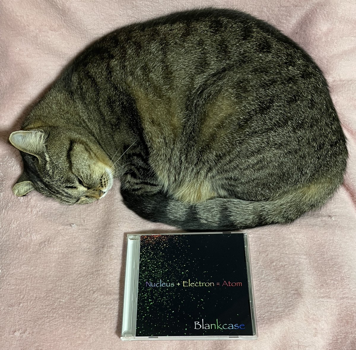 hiro14hiro2020's tweet photo. 寝る前の #推し活 その2⃣
#Blankcase のボーカル Curlyさんの
『聴きやすく、今のBlankcaseをしっかり表現出来た』の言葉に激しく同意なので改めてオススメ✨
1曲目からグッと引き込まれ、聴き惚れてるともうラスト…という素敵なアルバム😍
YouTubeで視聴できます👇
https://t.co/sypq8Z5Vls https://t.co/8klQAYx1Fu