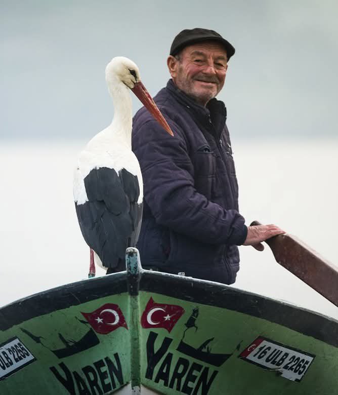 Sanırım benzeri görülmemiş bir olaya şahitlik esiyoruz. 

14'üncü yıl yeniden hoşgeldin Yaren leylek 🤝

Senden öğreneceğimiz çok şey var; vefa, sadakat, sevgi, vicdan, umut, dostluk 🪻