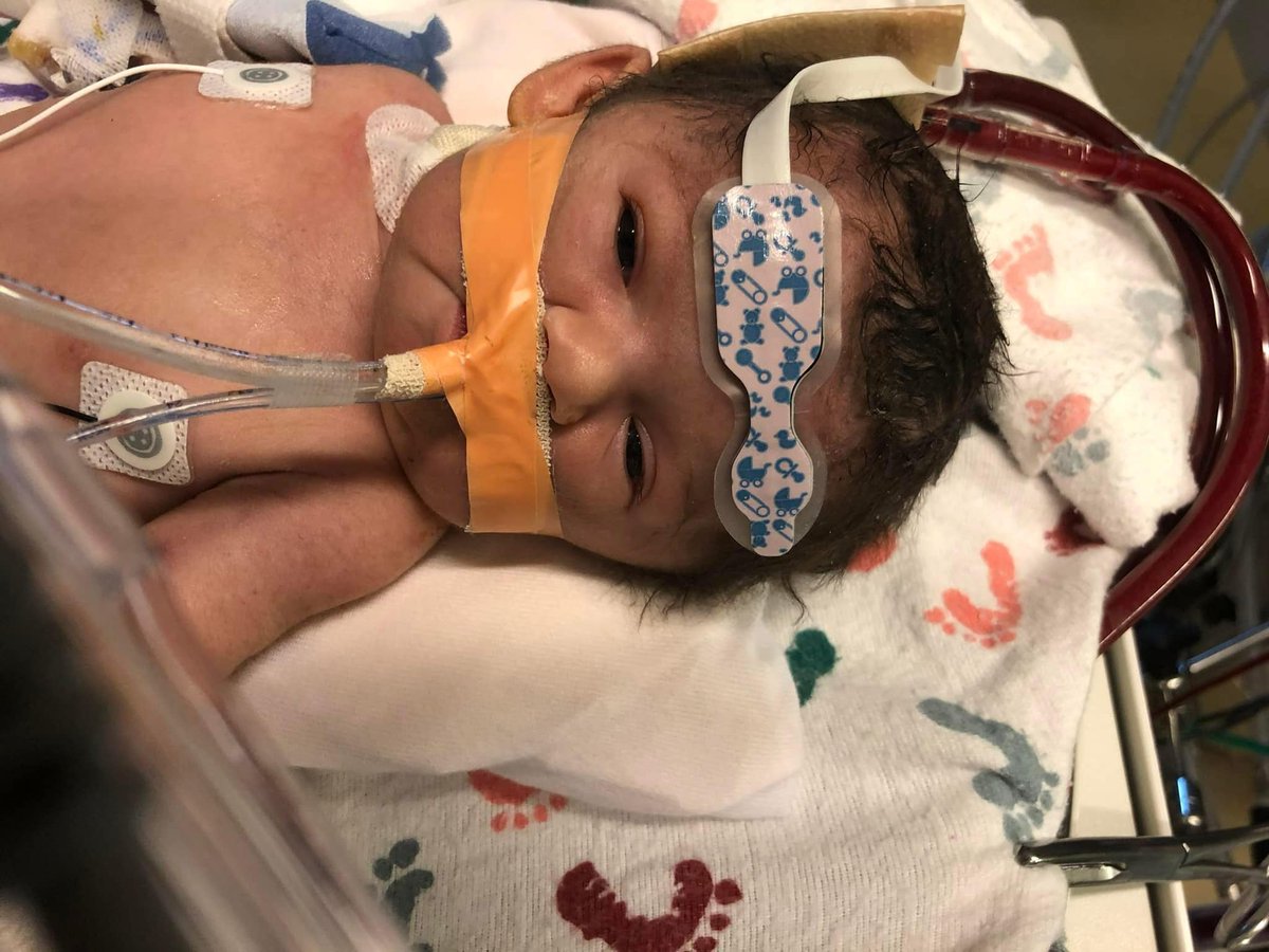 CDH Stars and Angels tweet media