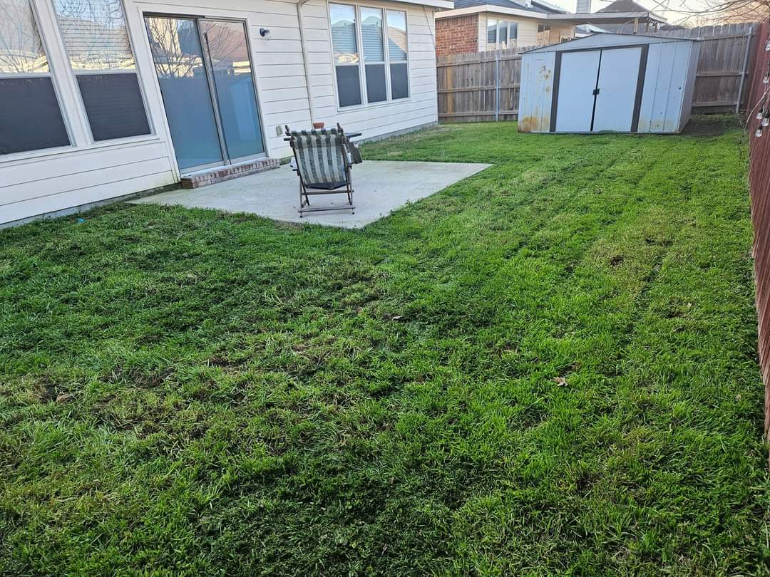 playarabbit's tweet photo. 🚨📢Calling Haslet & North Fort Worth Area🚨 Rodney’s Lawncare Green & Clean fresh cuts. Green grass 😆✂️. Message us today for a FREE quote—or keep rockin’ that jungle look 🌿👀. Your call! 📩💨🎯 #lawn #mowing #fortworth #Texas #haslet https://t.co/9C550KoibR