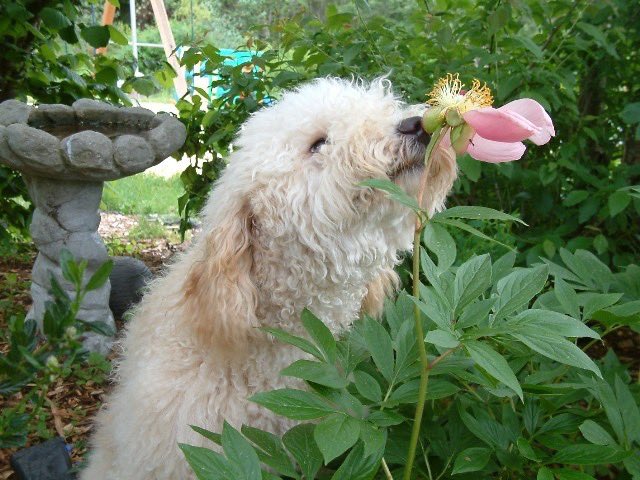 the air is getting warmer, the scenery gets greener, the wind will take the sadness, and the flowers will finally bloom